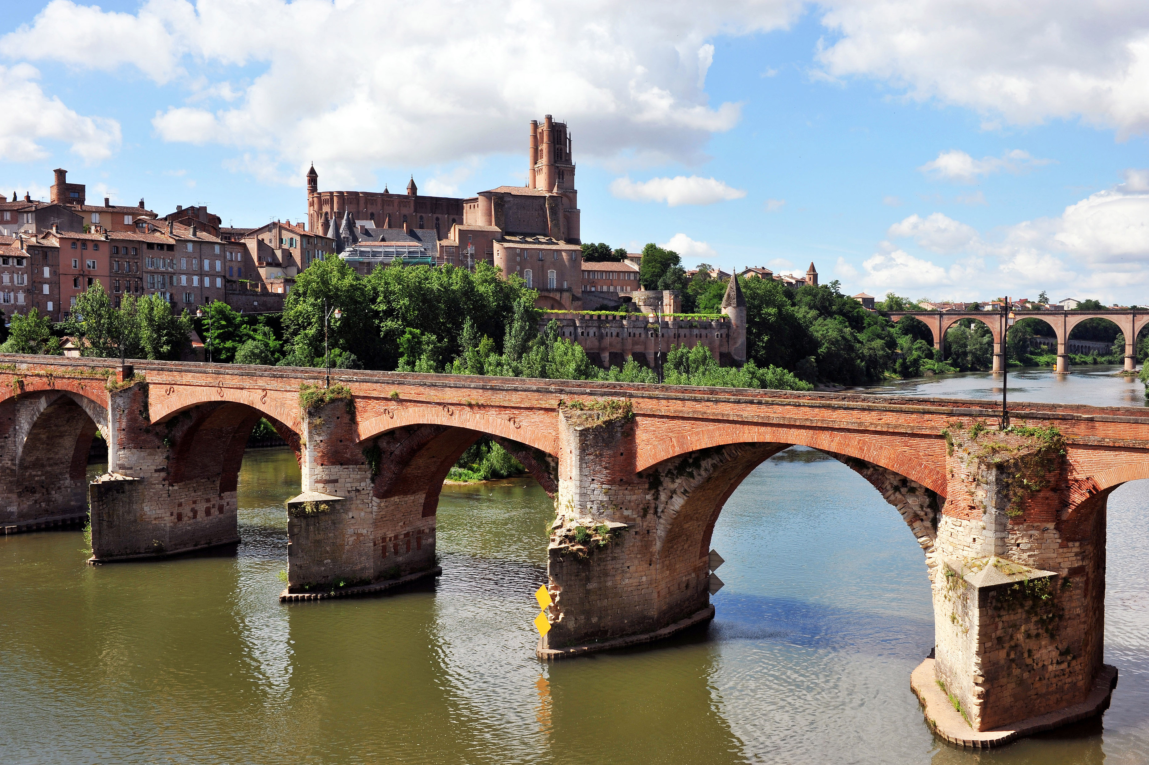 Camargue - Albi, France
